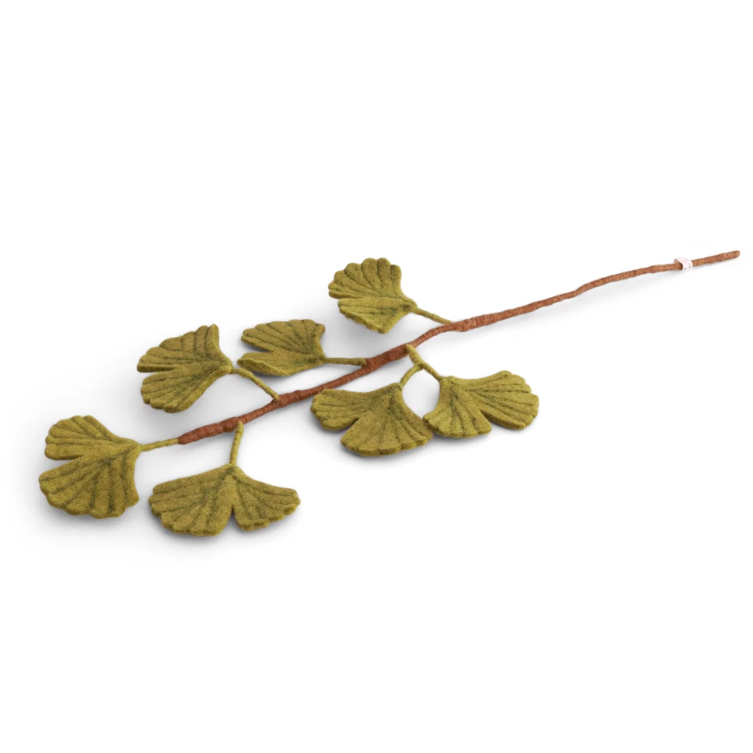 Ginkgobaumzweig