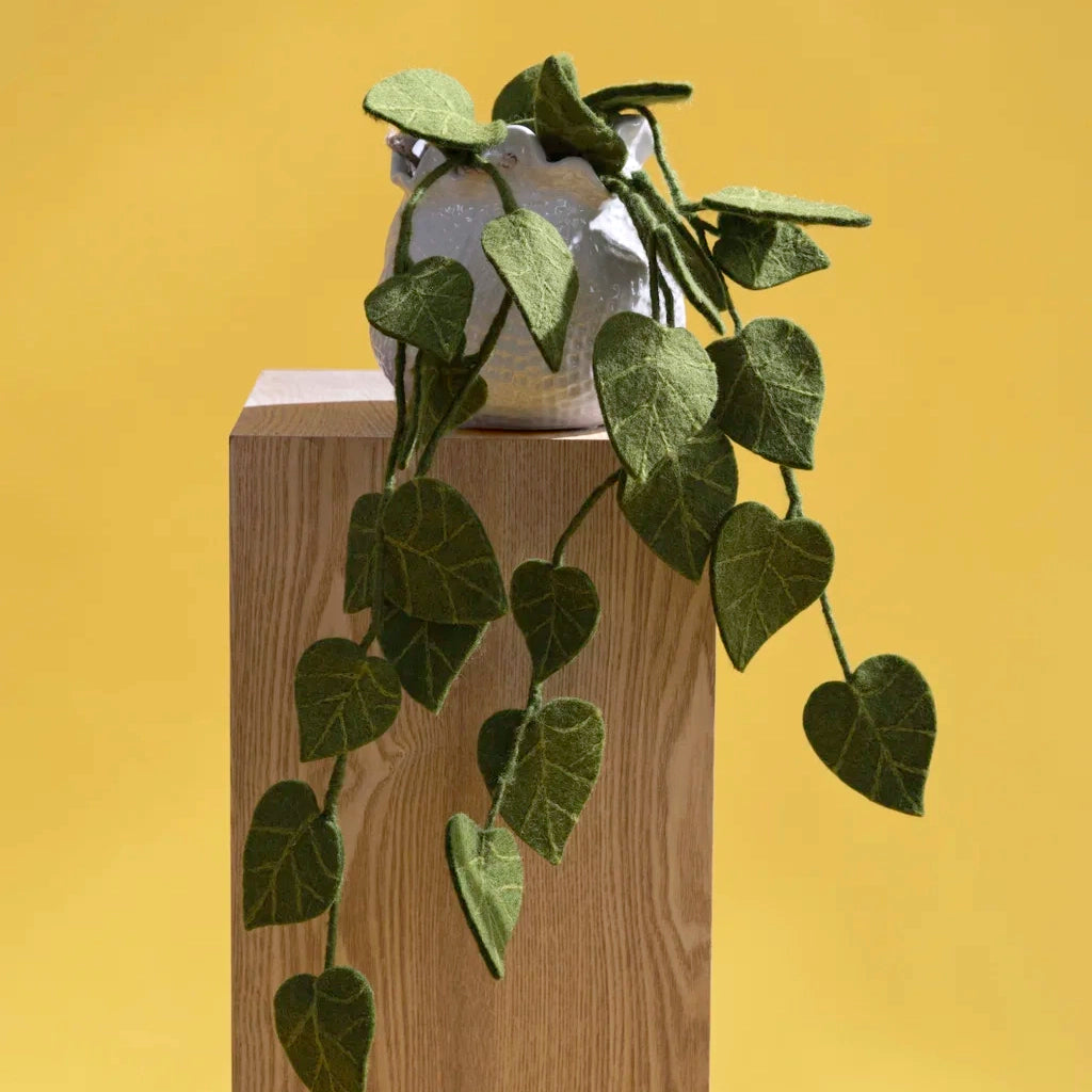 Succulent Branches