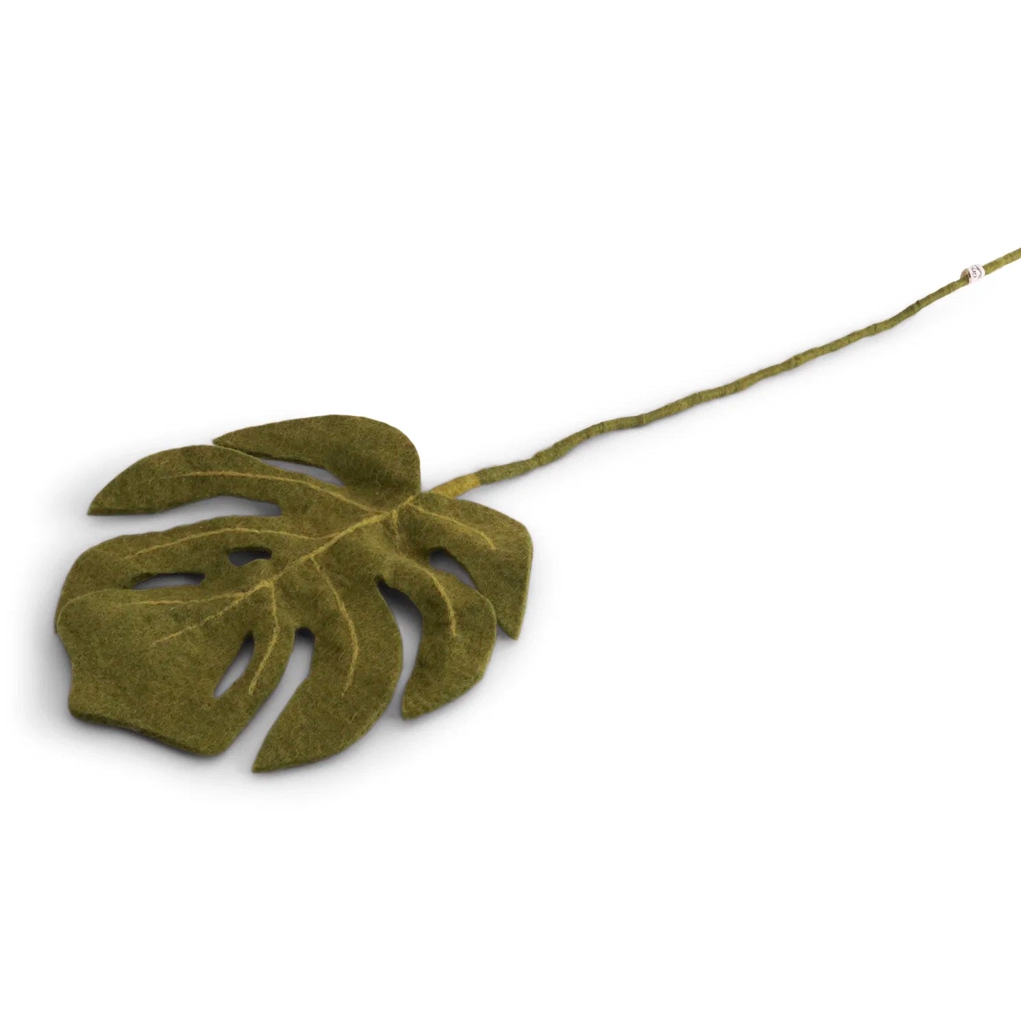 Monstera Leaf