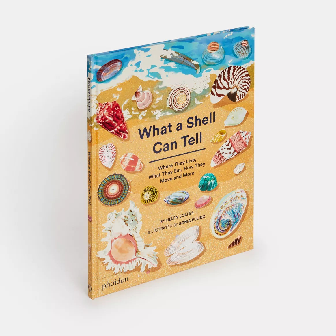 What A Shell Can Tell (EN)