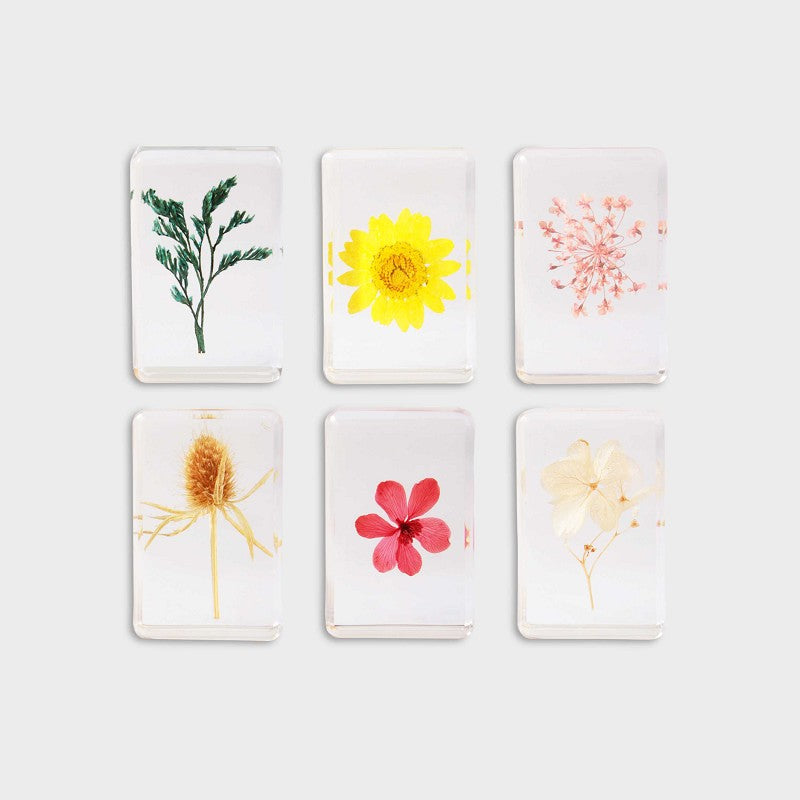 Wildflower Cube Small (Random Pick)
