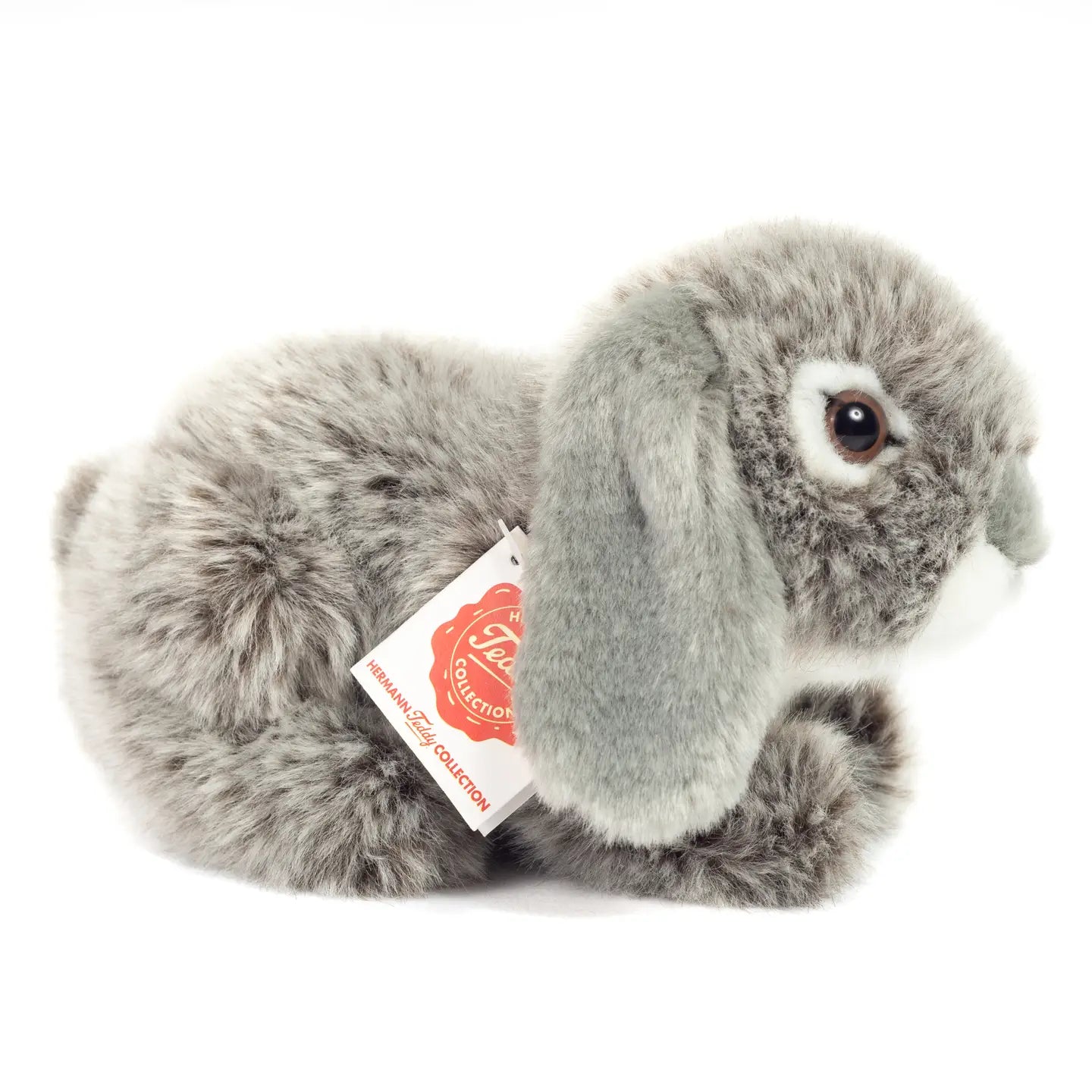 Grey Ram Rabbit