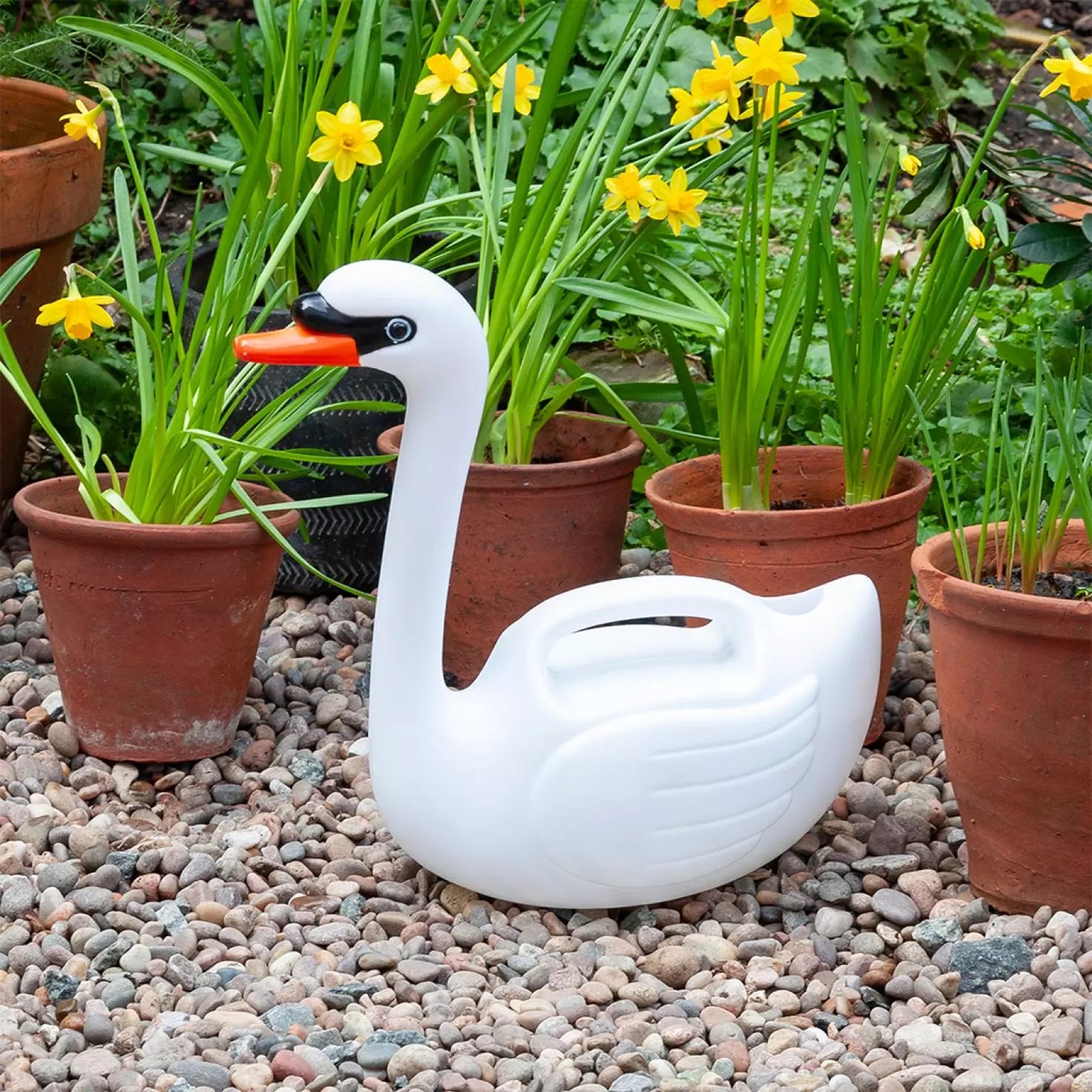 Swan Watering can