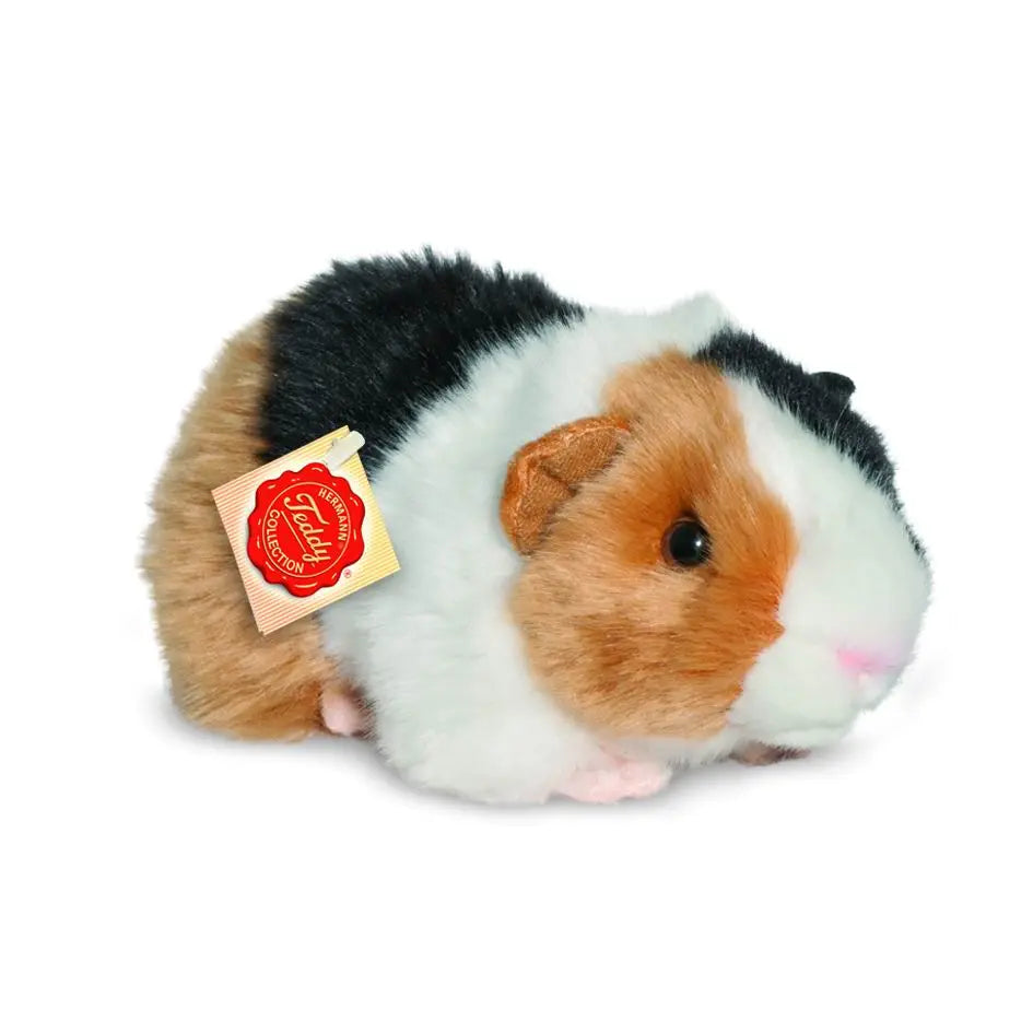 Guinea Pig