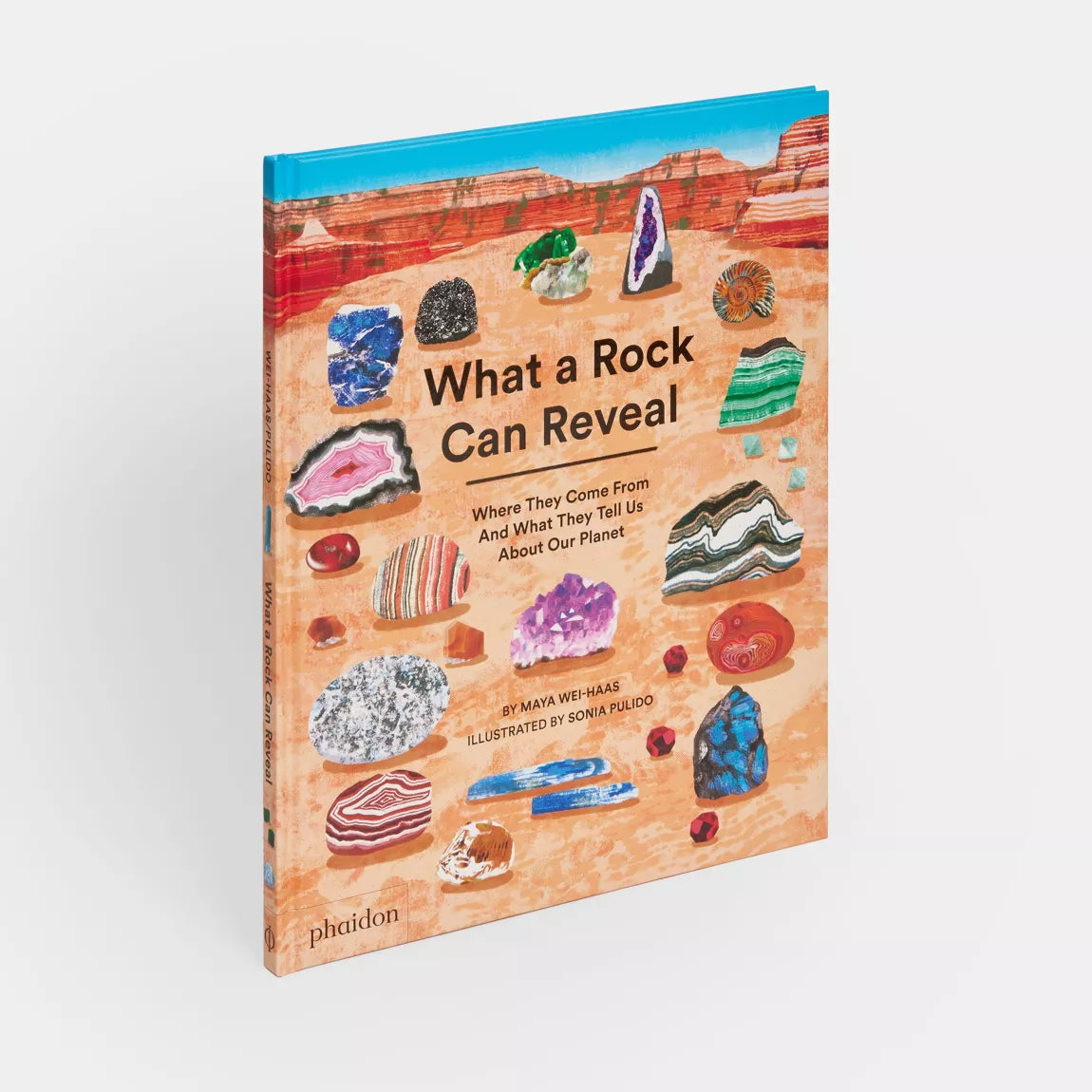 What a Rock Can Reveal (EN)