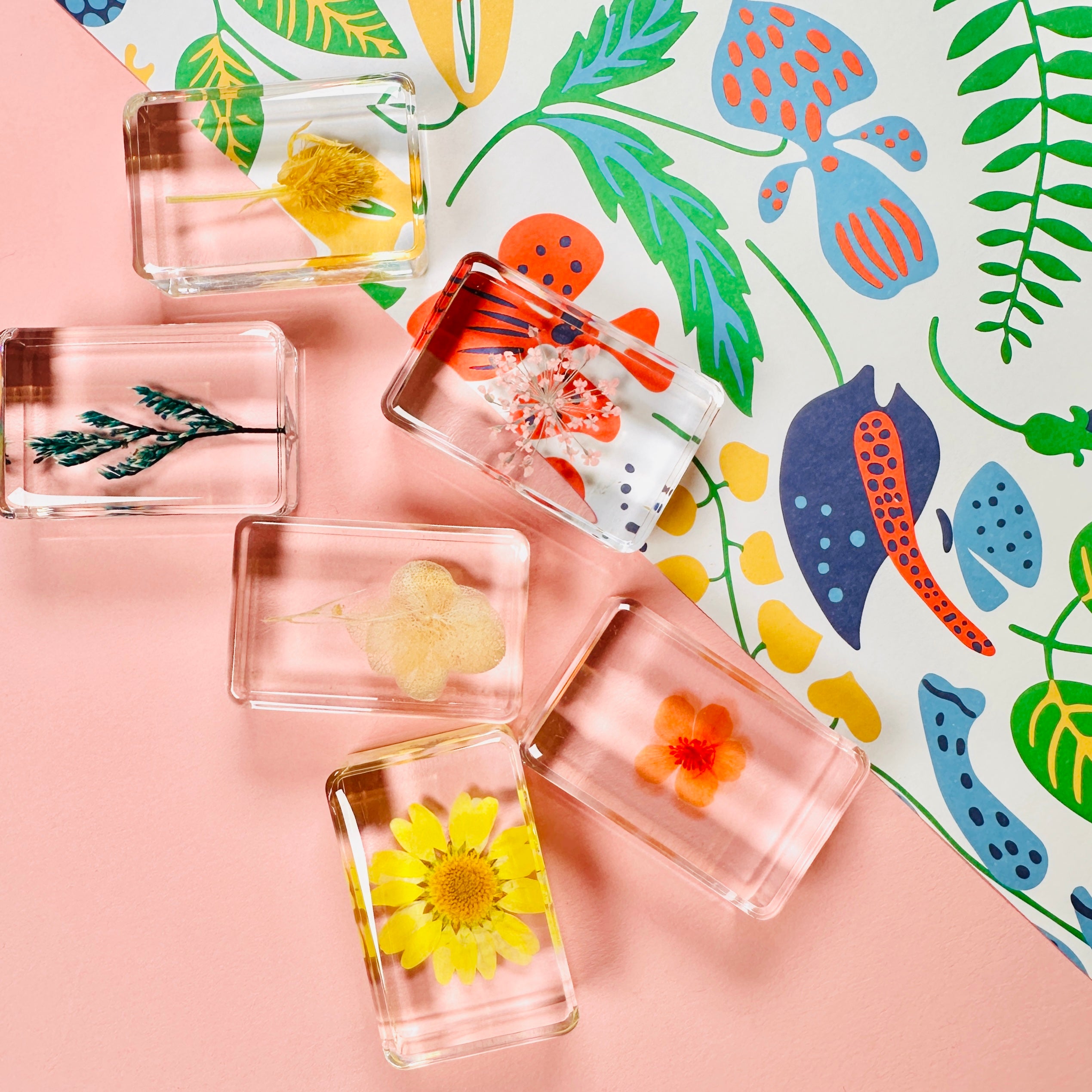 Wildflower Cube Small (Random Pick)