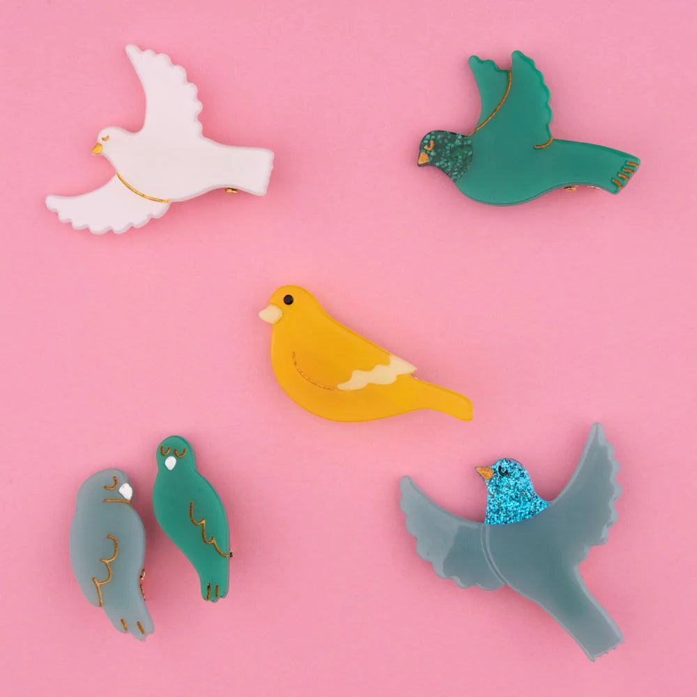 Lovebirds Hair Clip Set