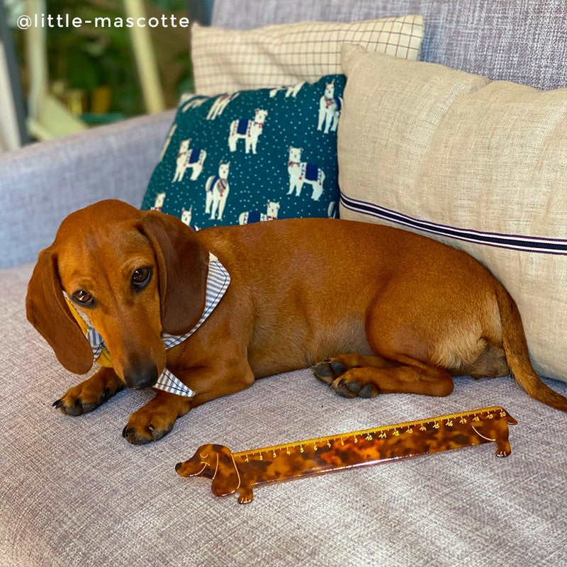 Dachshund Ruler