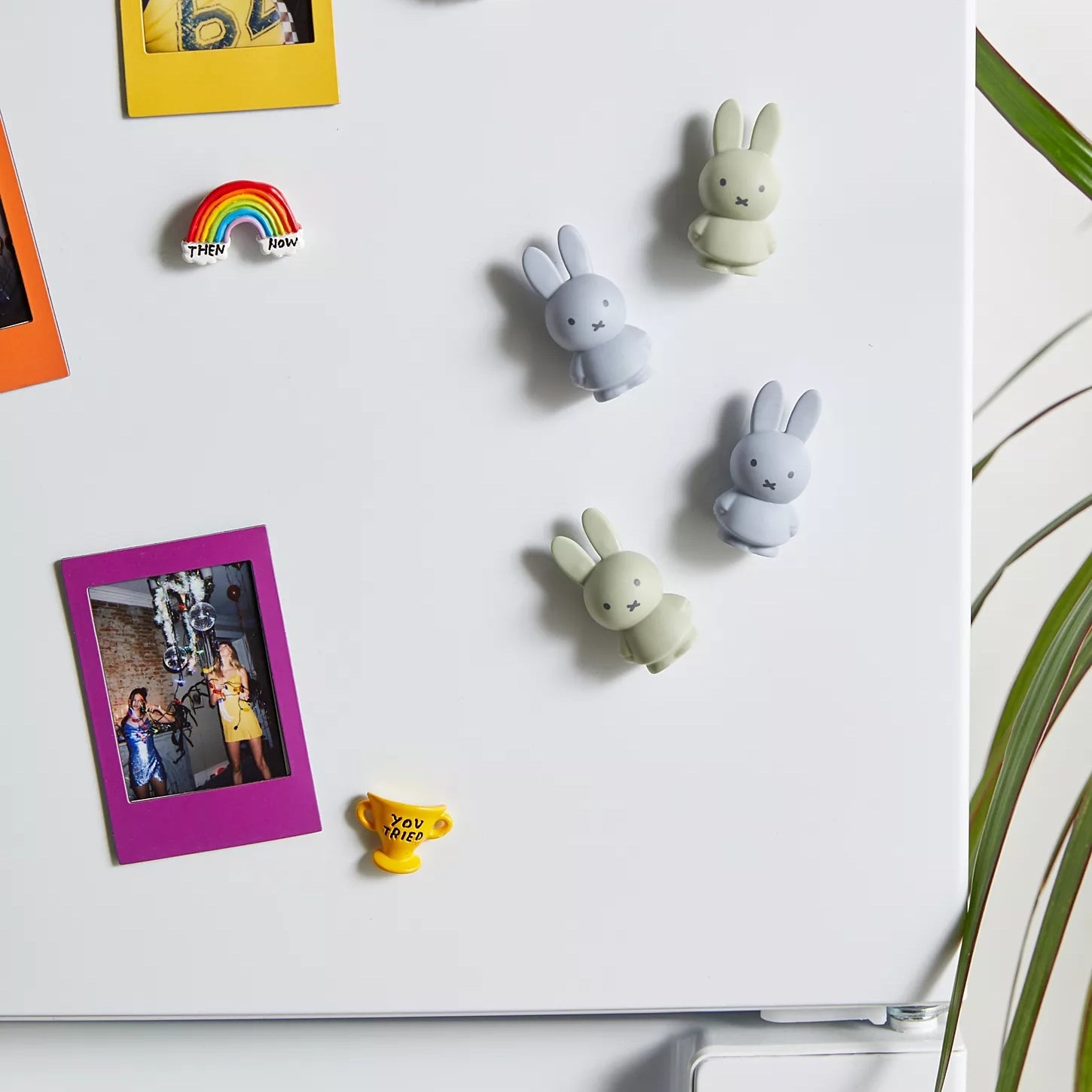 Miffy Magnet SILVER BLUE & EUCALYPTUS (Set of 4)