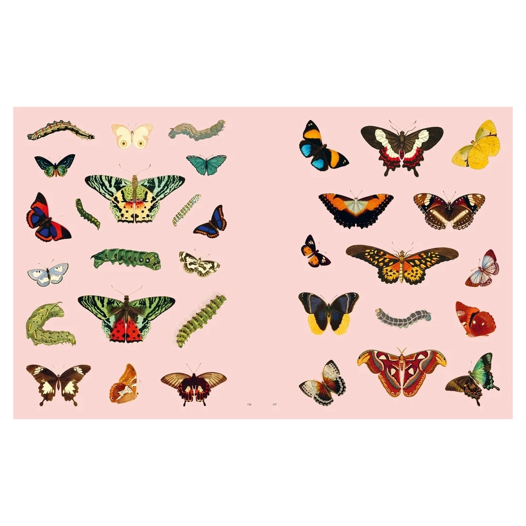 Extraordinary Things Sticker Book (EN)