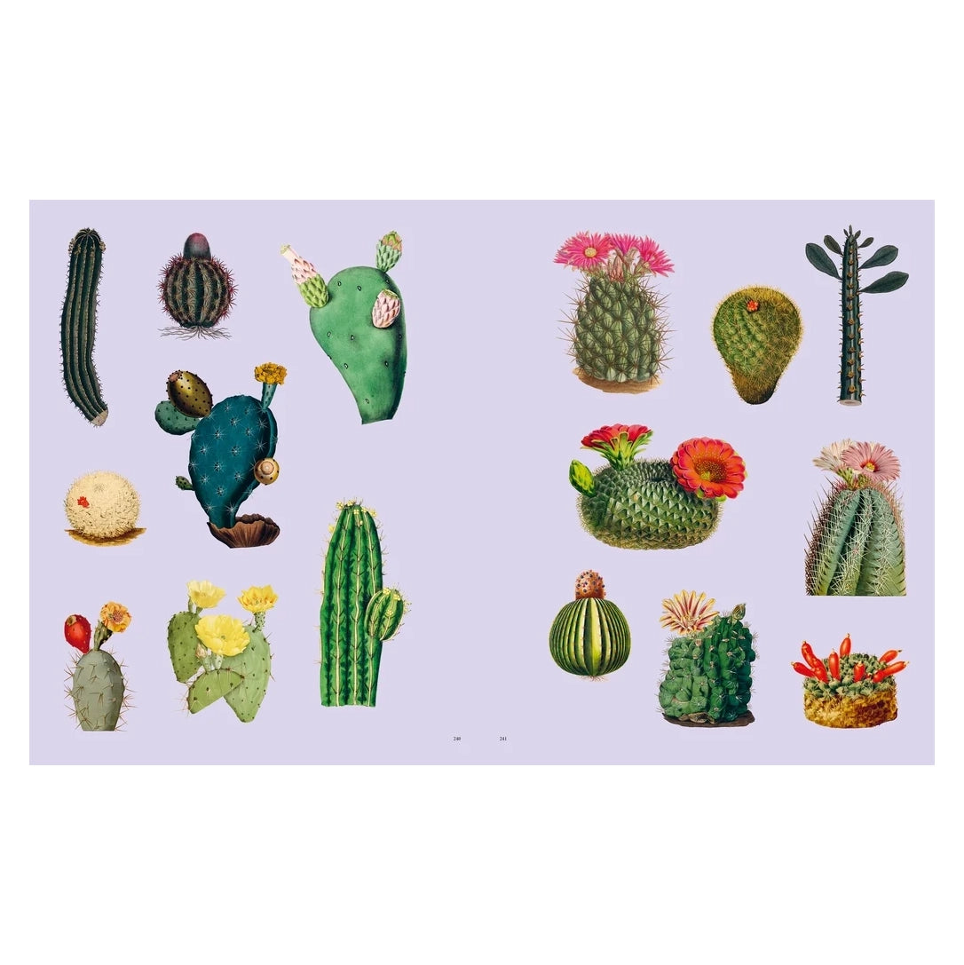 Extraordinary Things Sticker Book (EN)