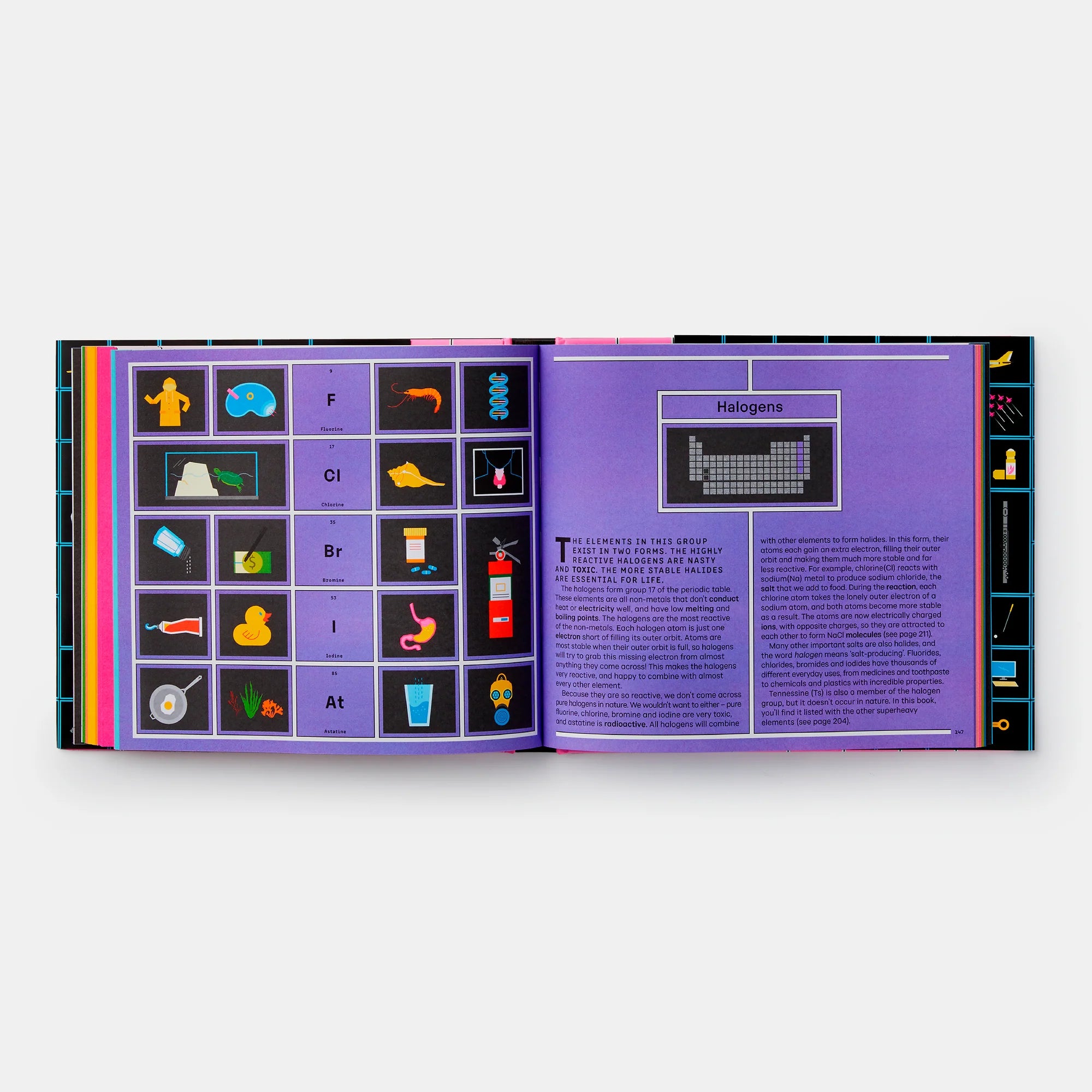 Exploring the Elements: A Complete Guide to the Periodic Table (EN)