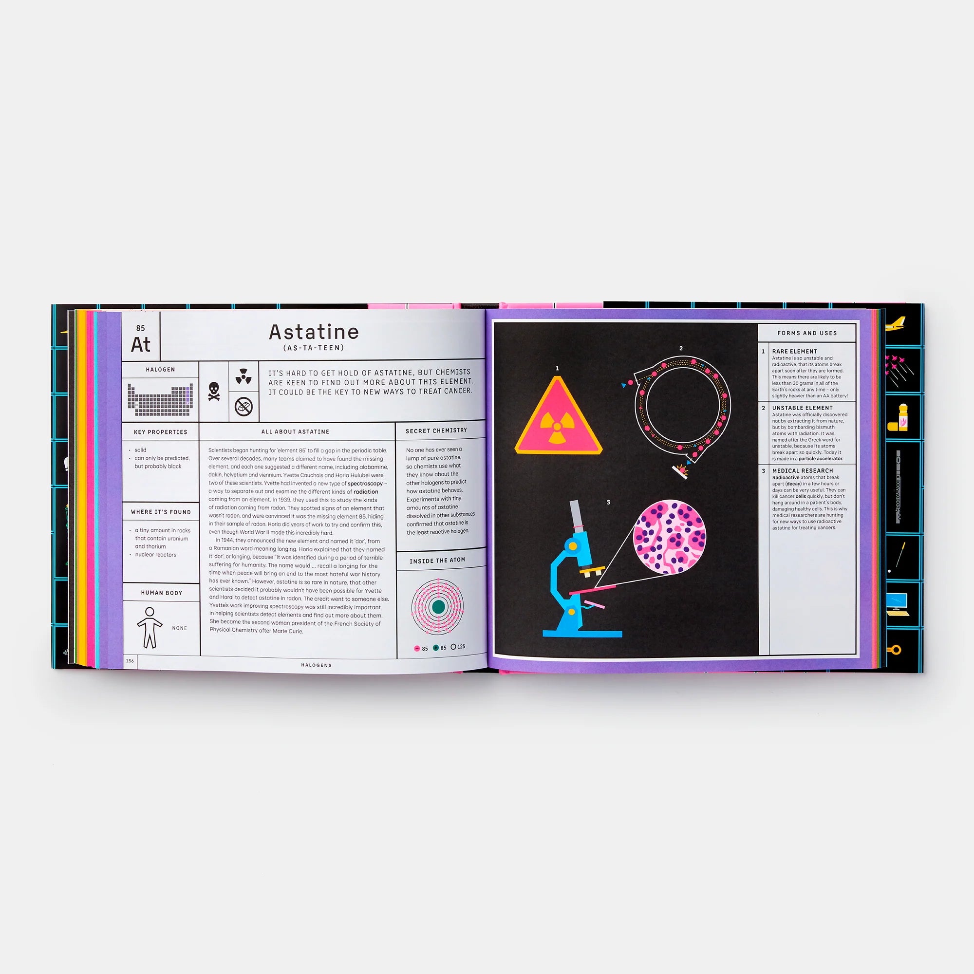 Exploring the Elements: A Complete Guide to the Periodic Table (EN)