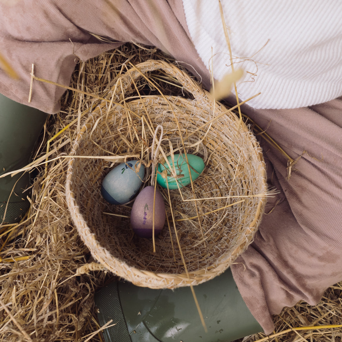 Aurora Eggs