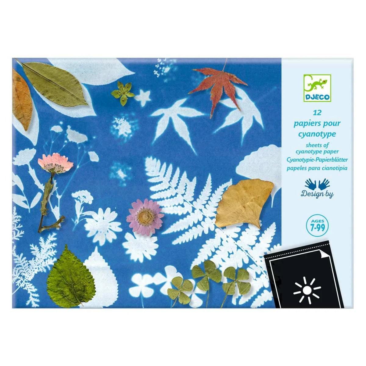 Sunprint Paper A4 (12 Sheets)