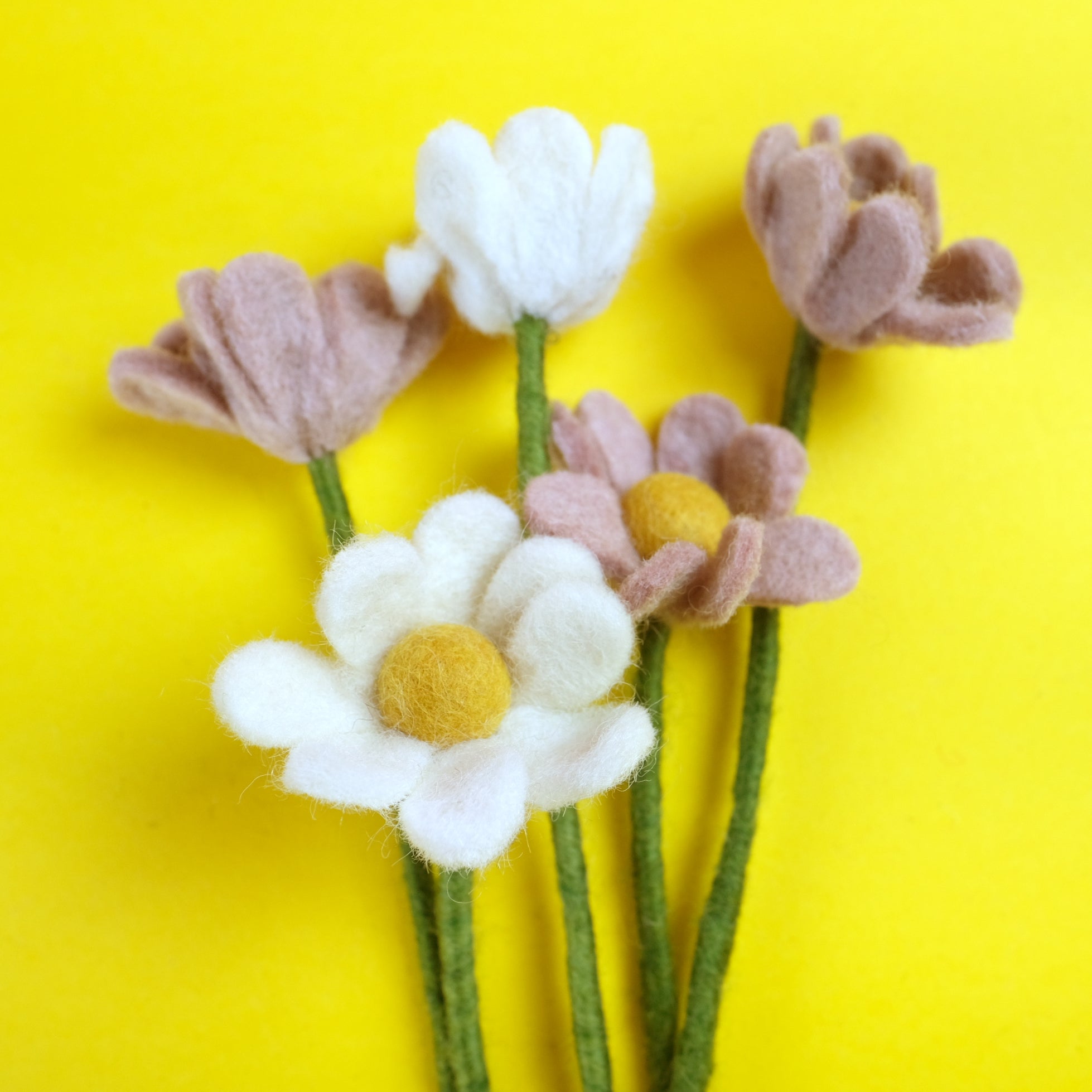 Anemone (Available in 3 Colors)
