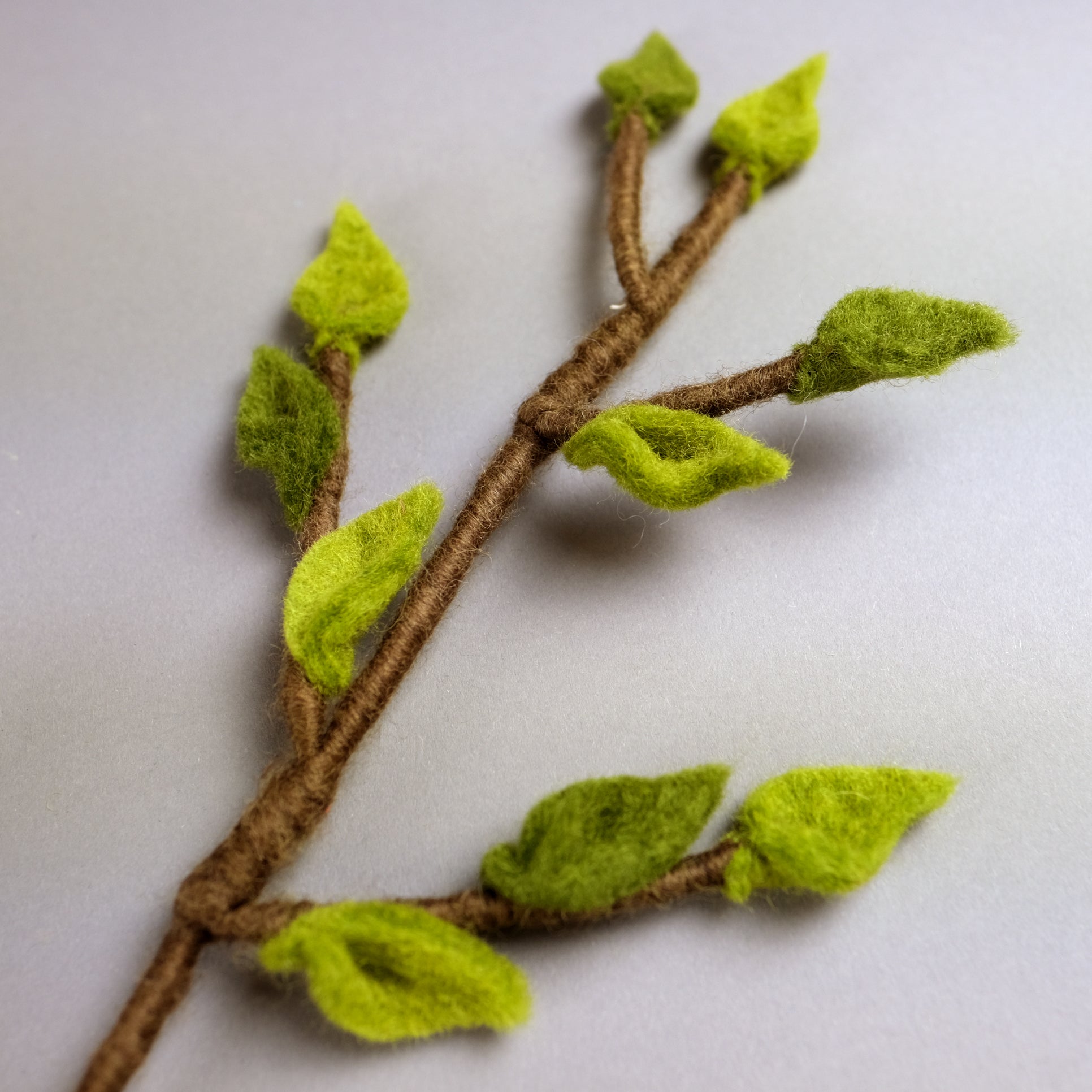 Branch with Green Leaves