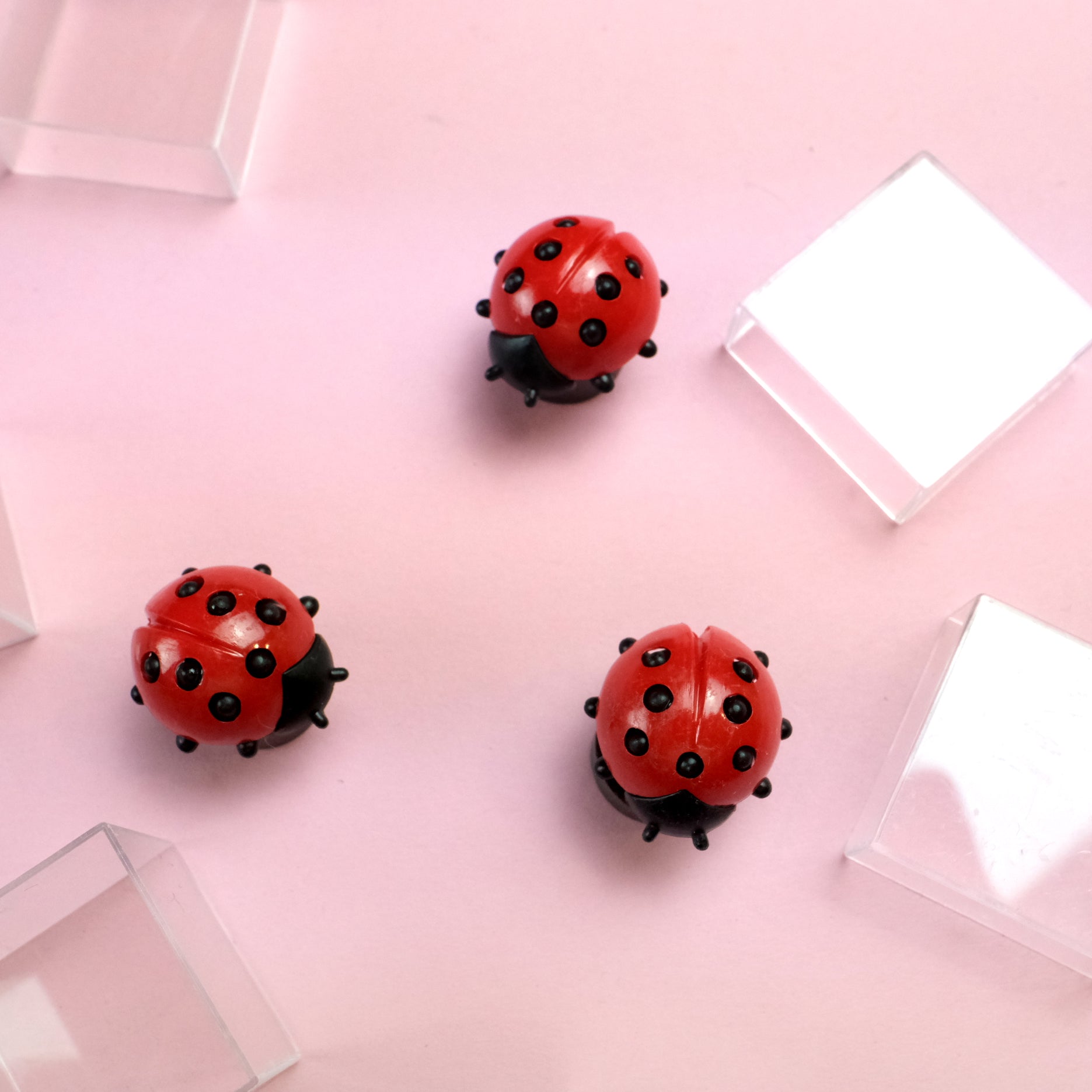 Moving Ladybug Magnet