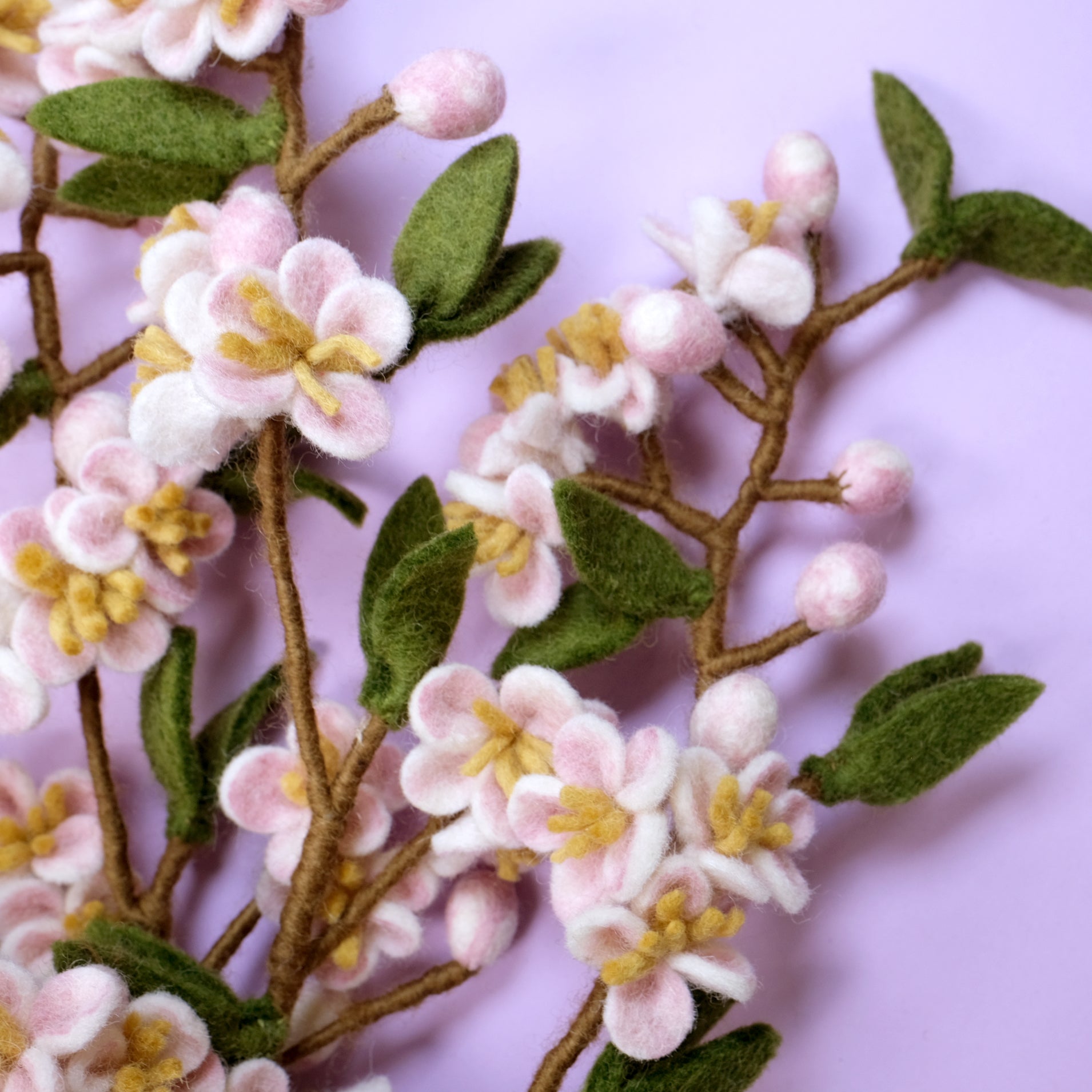 Cherry Blossom Branch