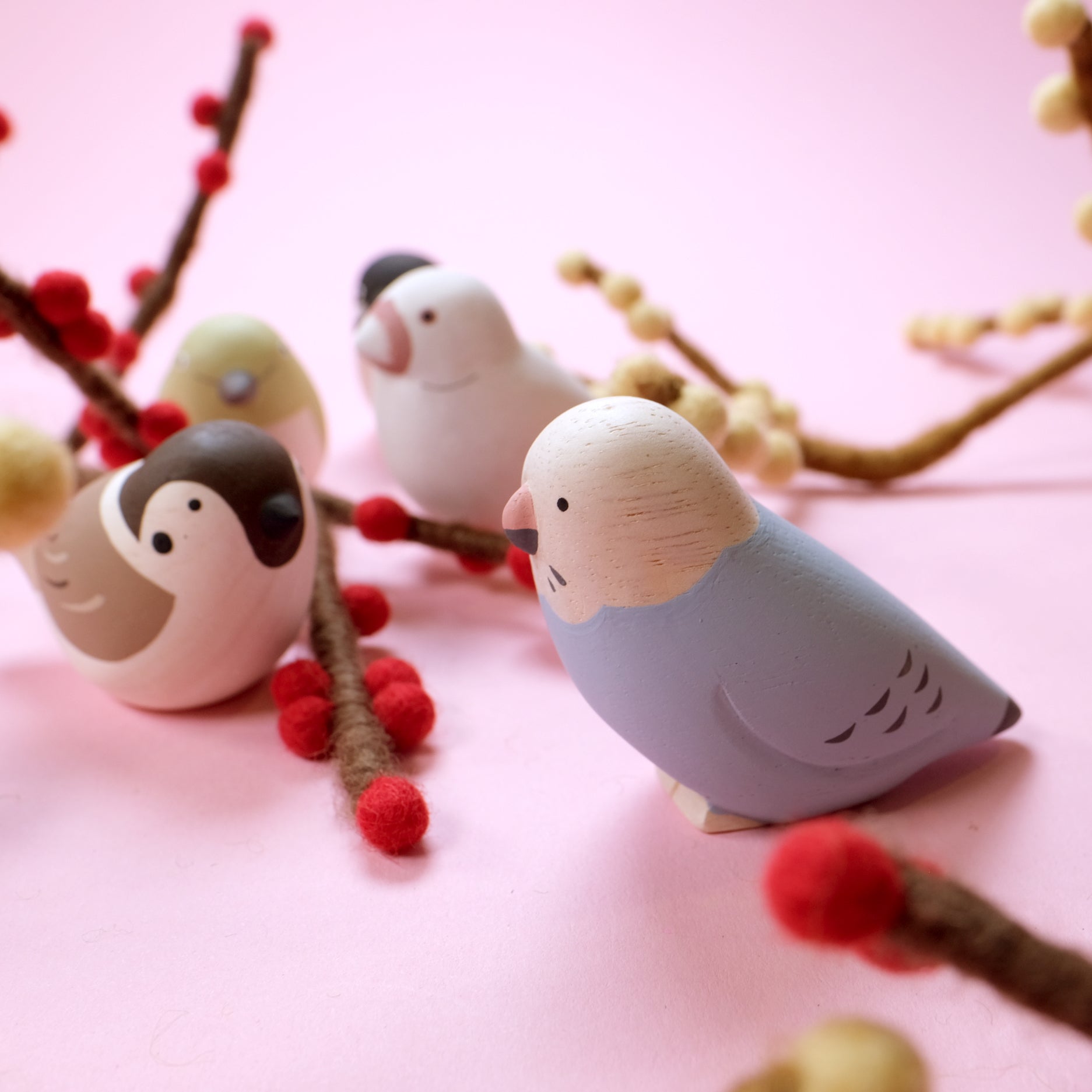 Pole pole Kotori - Budgerigar