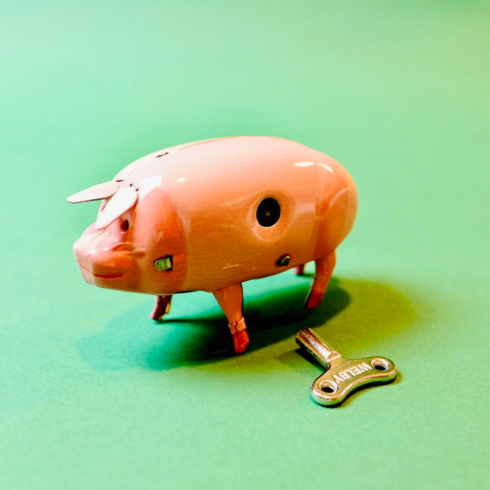 Polly das Schwein
