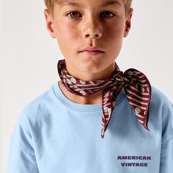 Kid's t-shirt Fizvalley - ICEBERG VINTAGE