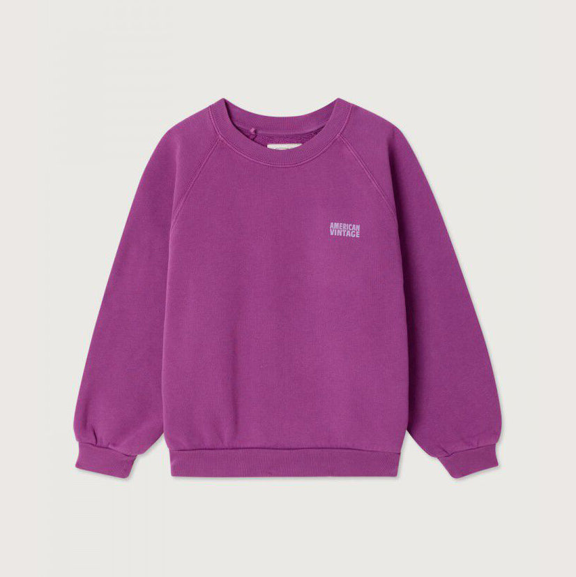 KID'S SWEATSHIRT IZUBIRD - JUS DE RAISIN VINTAGE