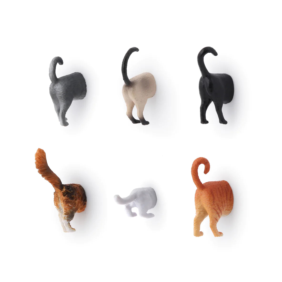 Cat Butt Magnets Set Of 6