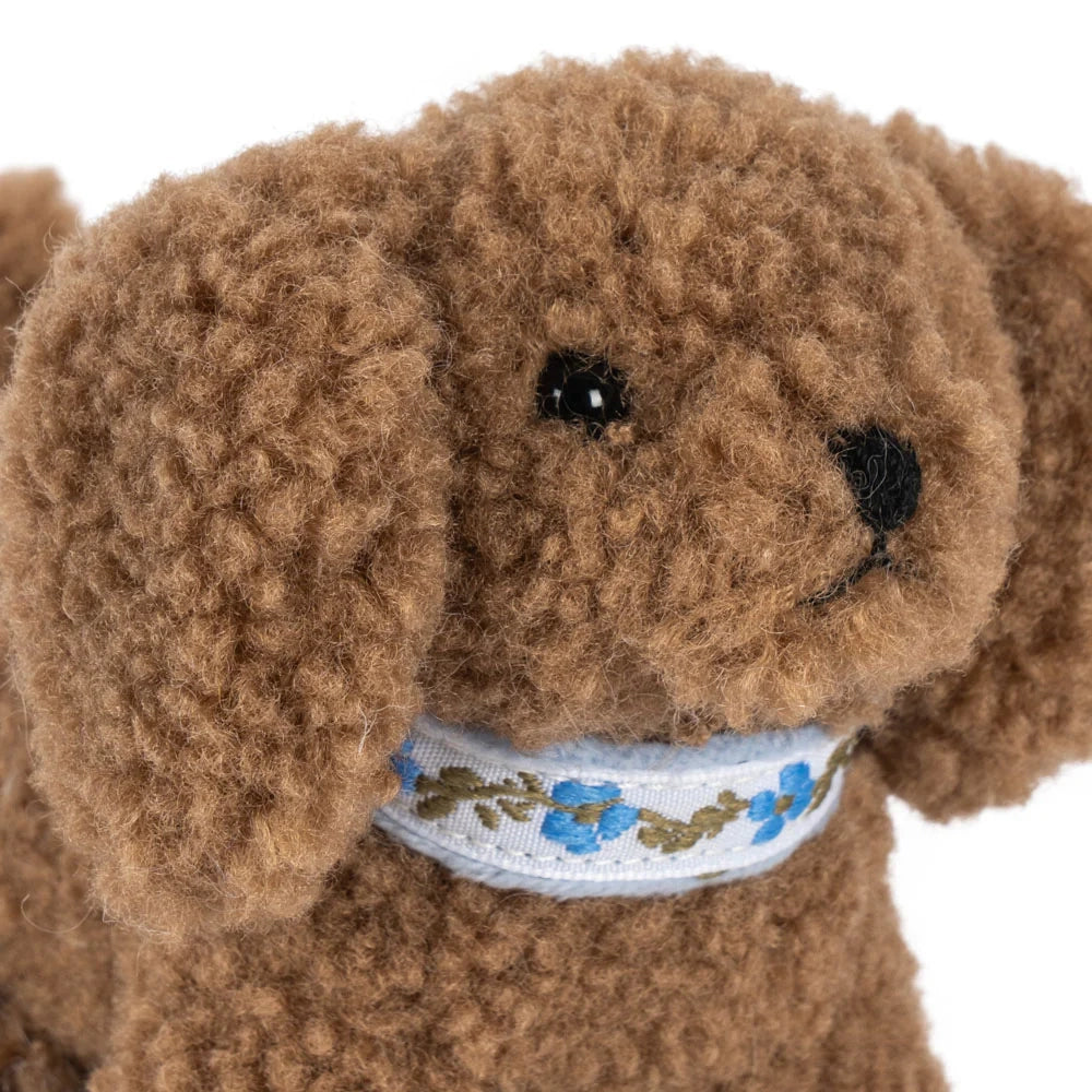 ACTIVITY PUPPY
