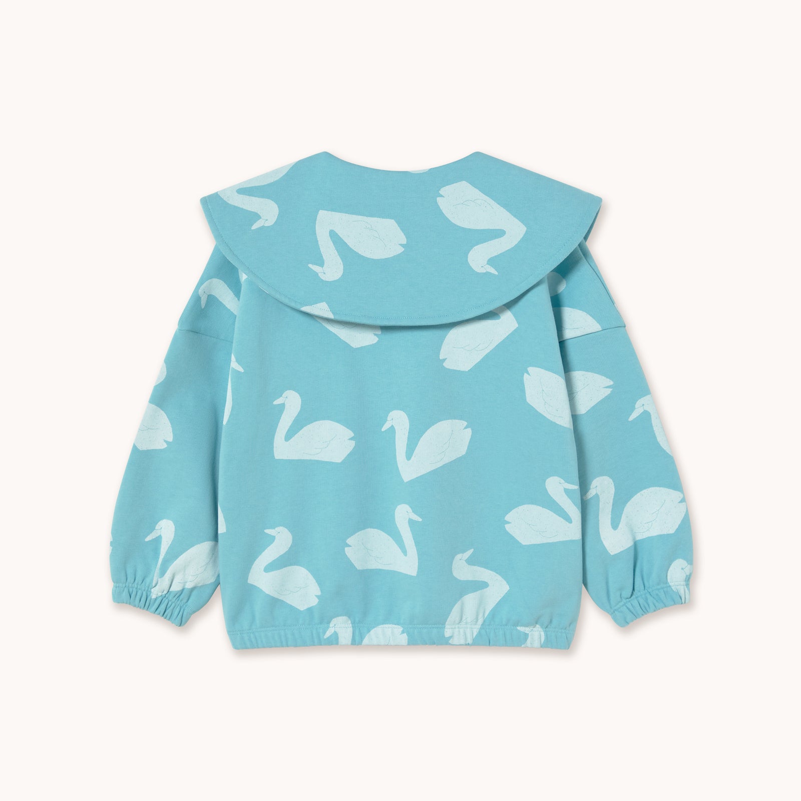 BIG SWANS SWEATSHIRT