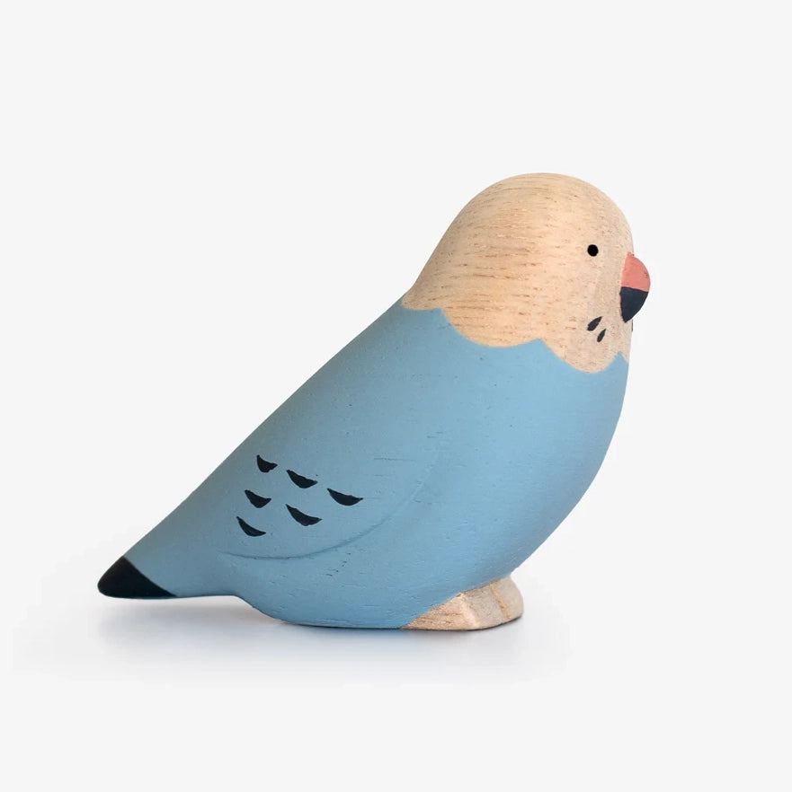 Pole pole Kotori - Budgerigar