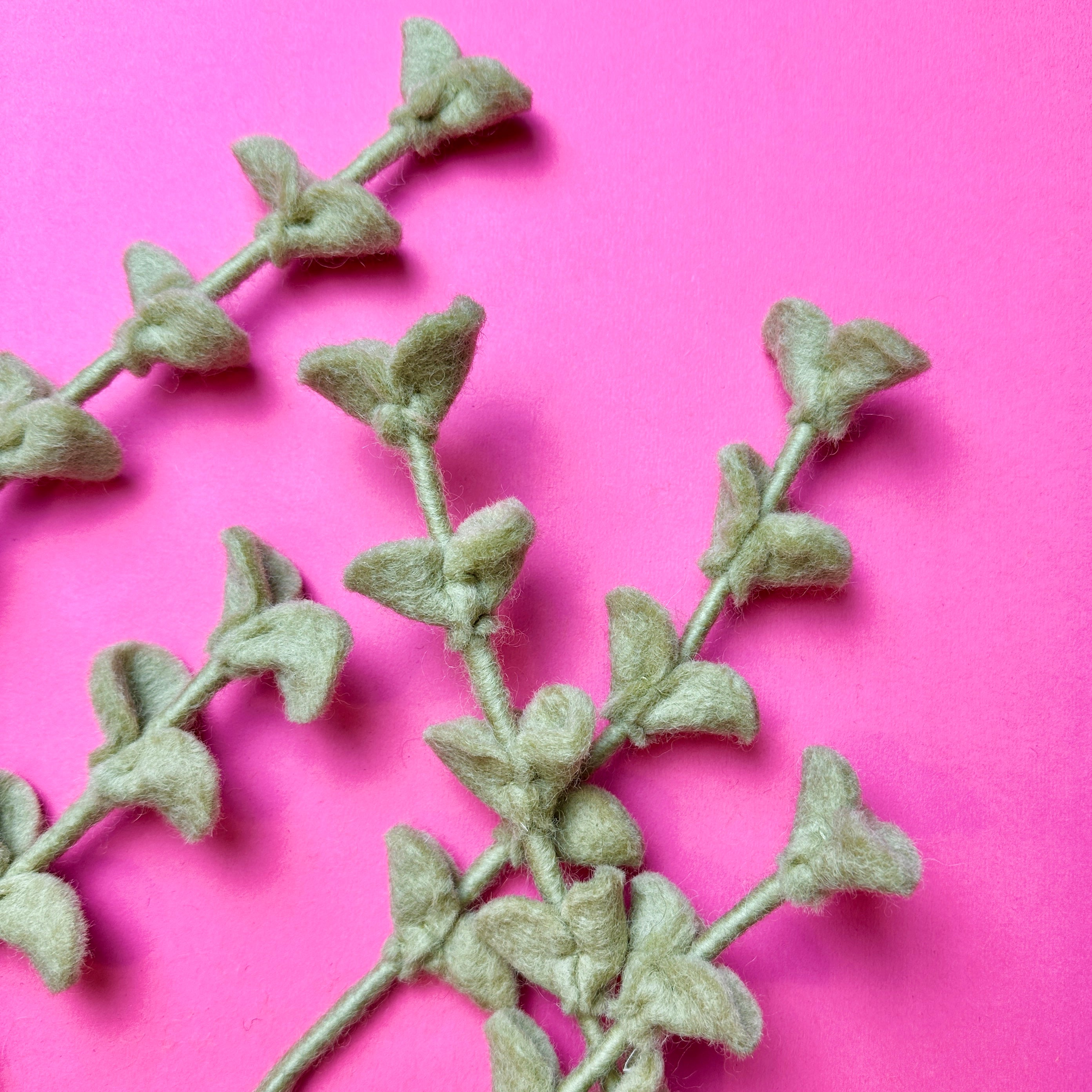 Leaf Branch Round