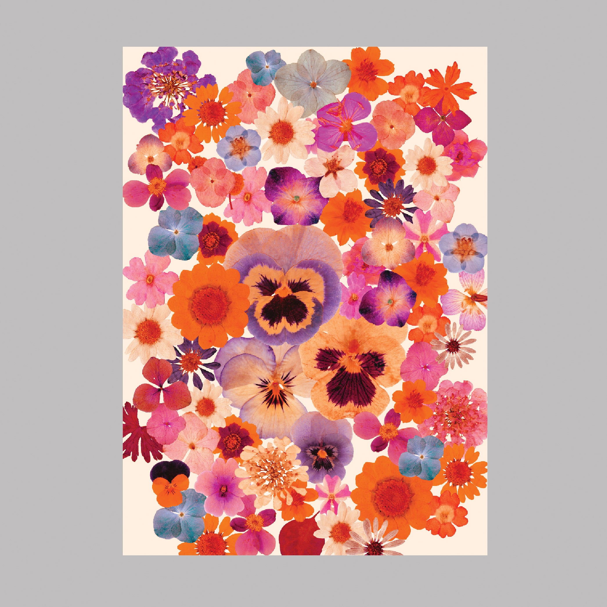 Post a card - vintage Herbarium