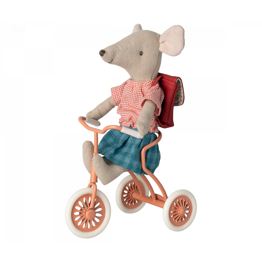 Abri à tricycle - Koral