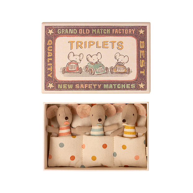 Baby Mice in Matchbox TRIPLETS