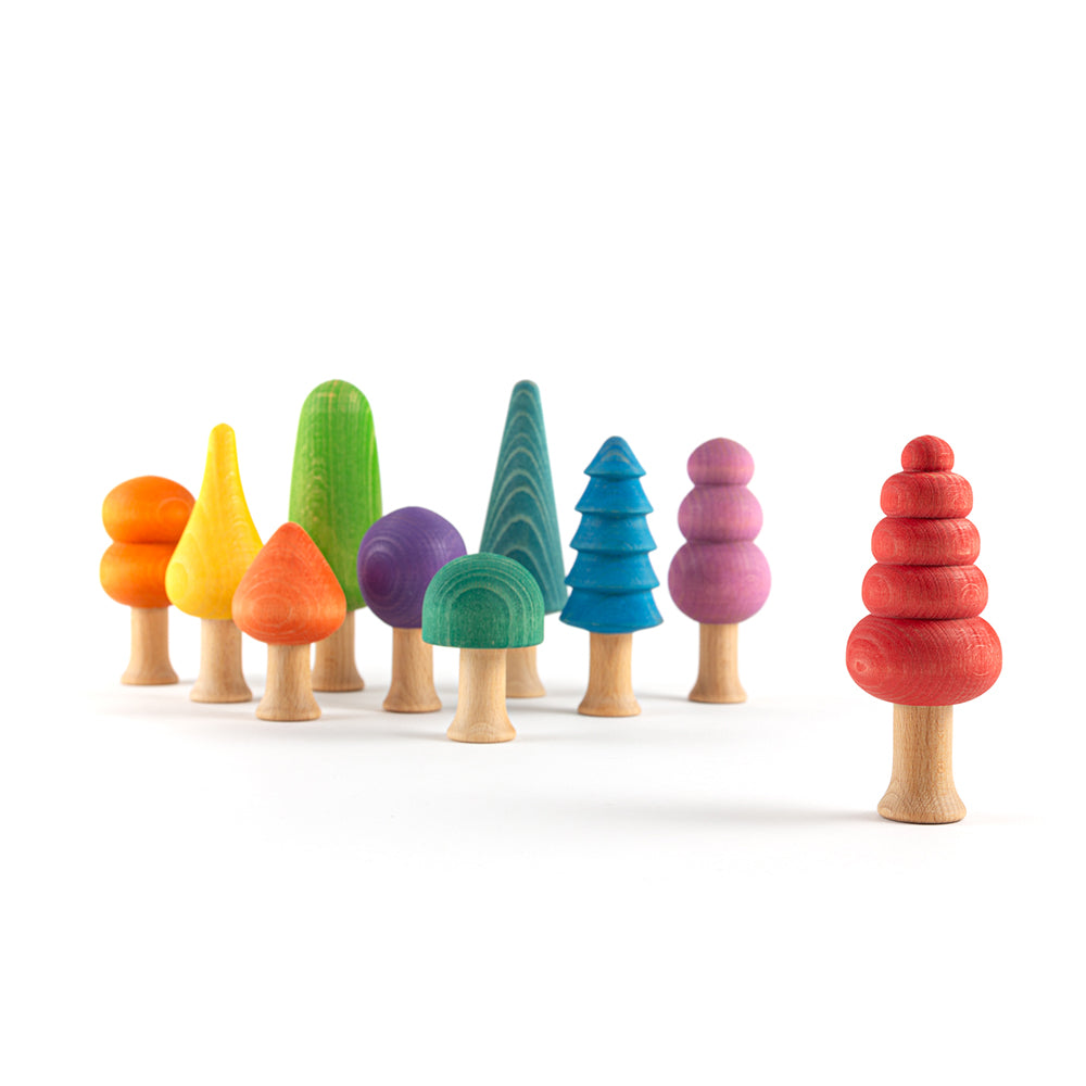 Ocamora Rainbow Tree