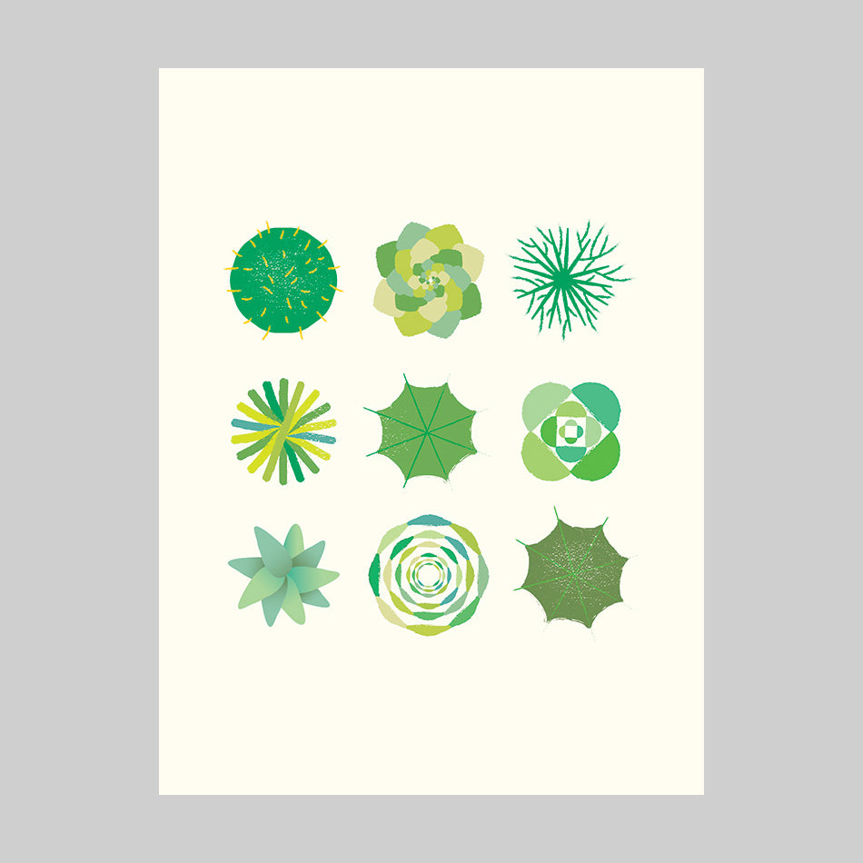 Post a card - Cactus!