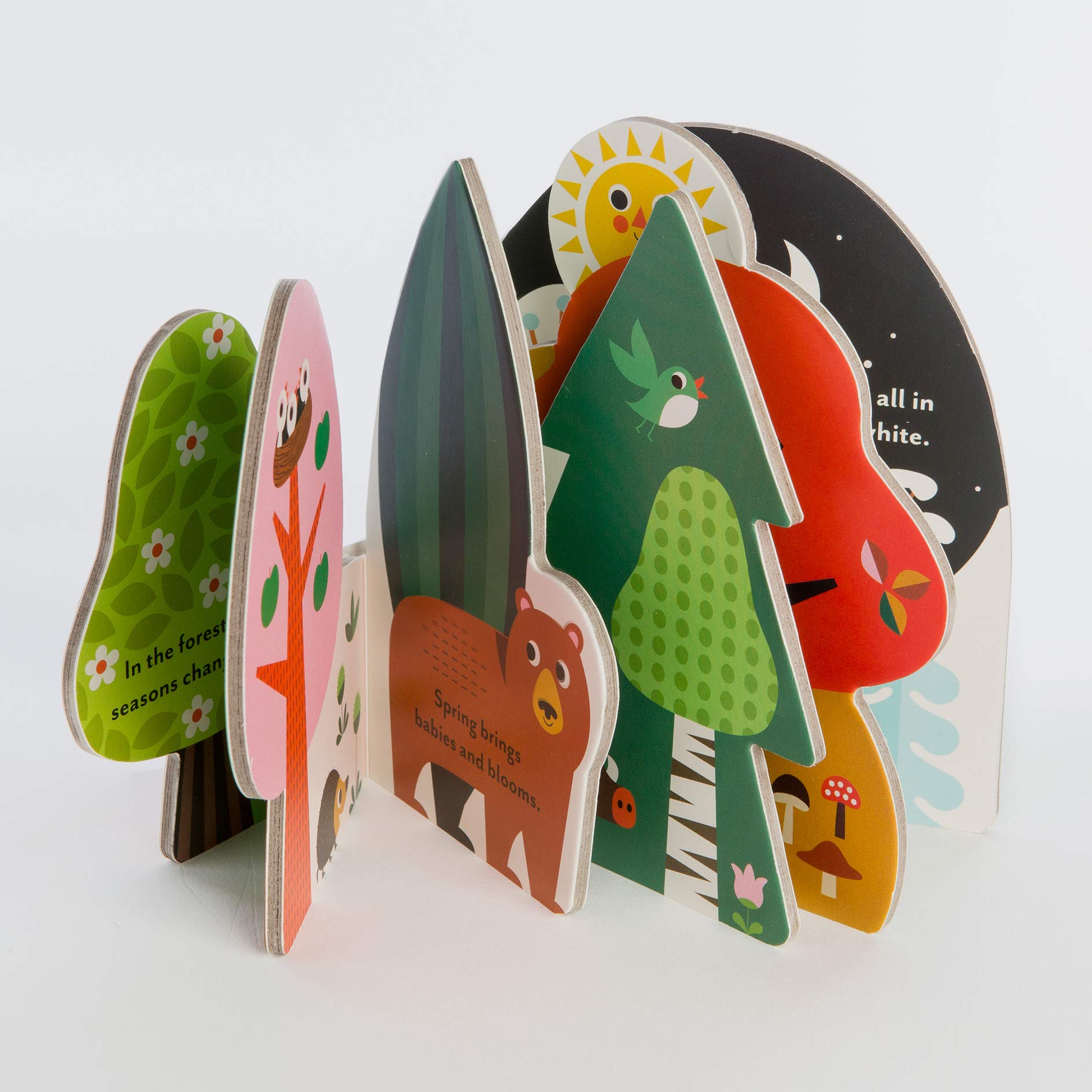 Bookscape Board Books: A Forest's Seasons (EN)