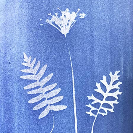 Sunprint Kit 10x10 cm