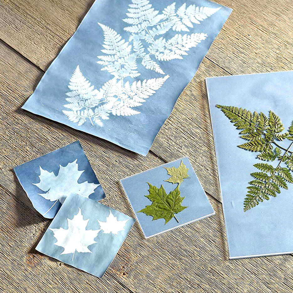 Sunprint Kit 10x10 cm