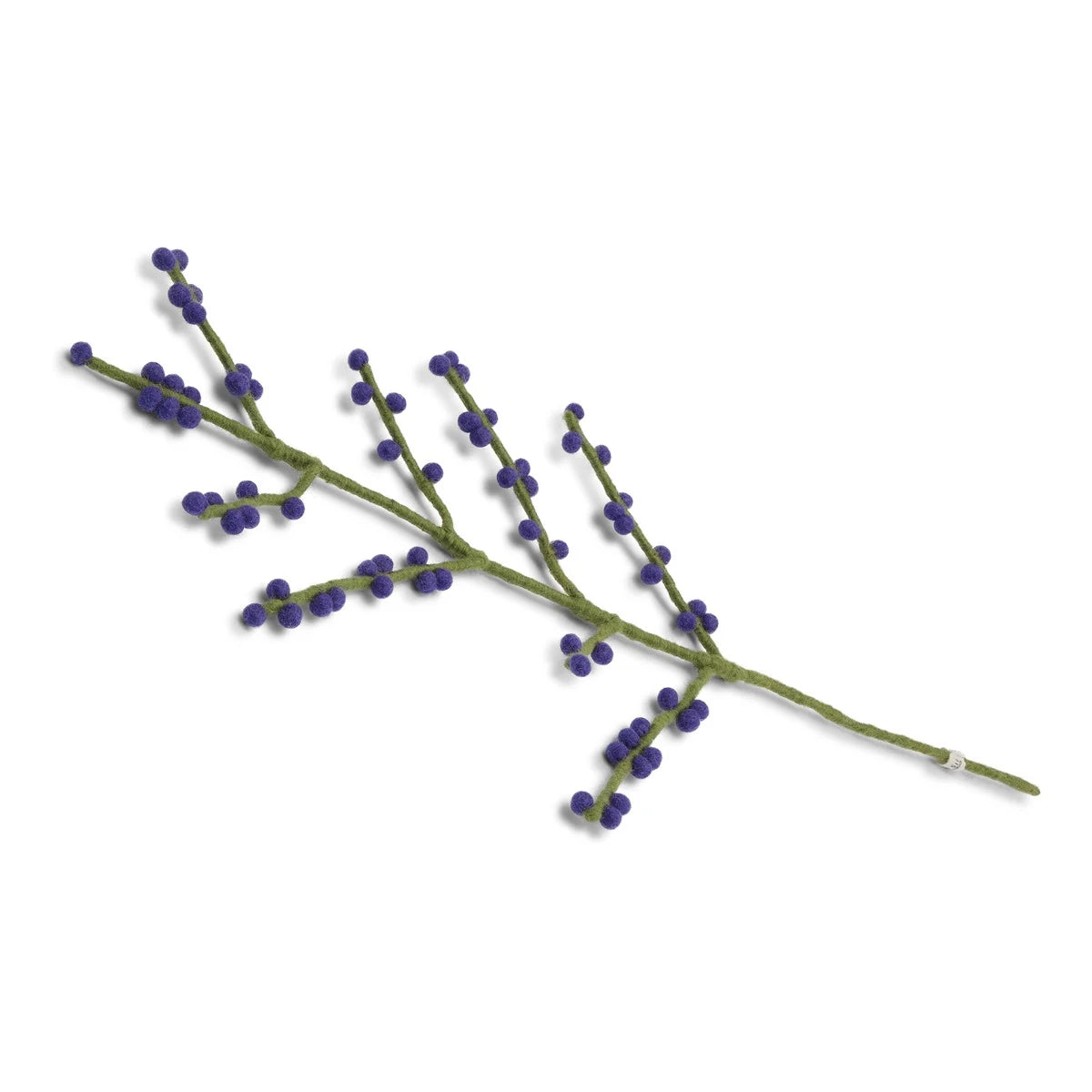 Branch with Blue Berries