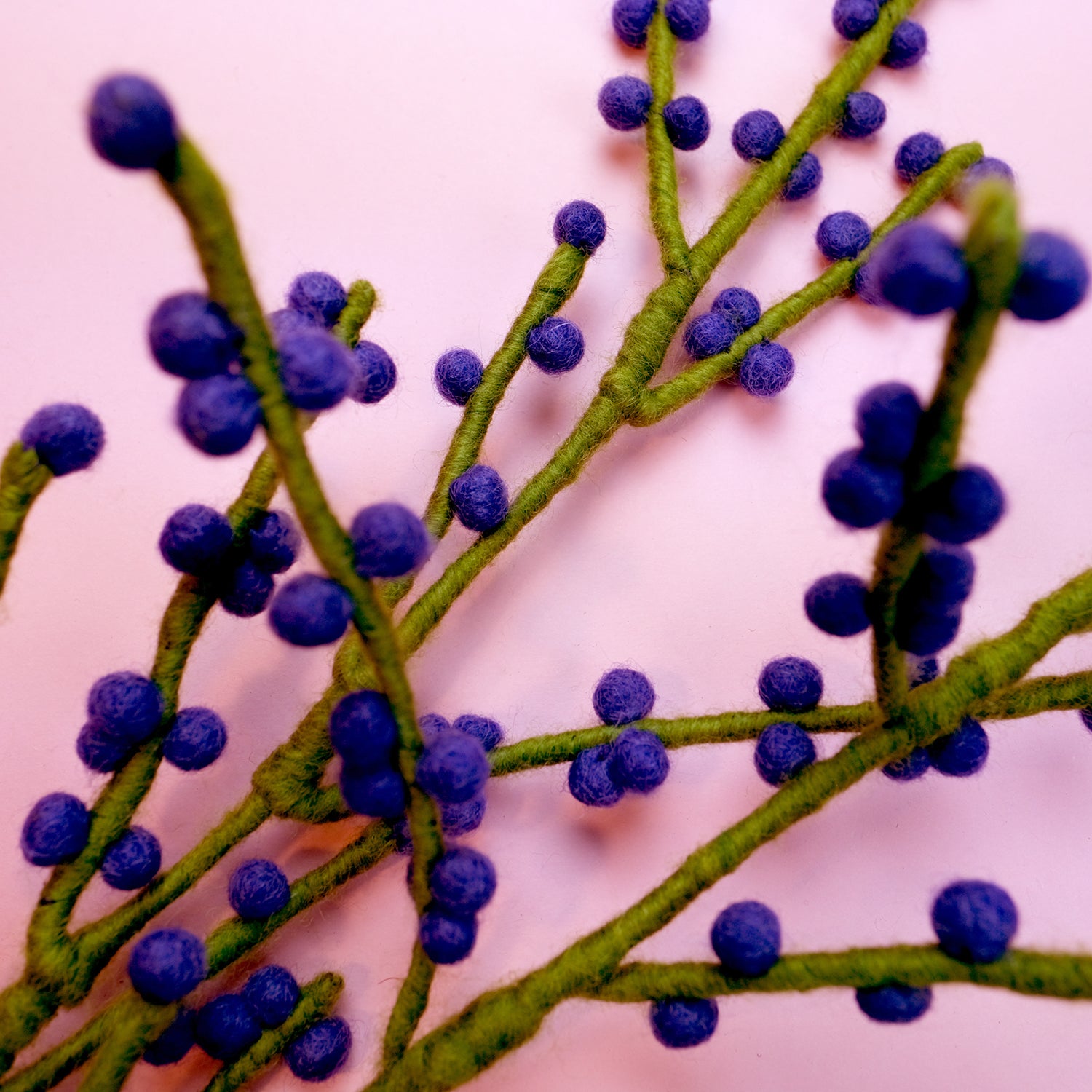 Branch with Blue Berries