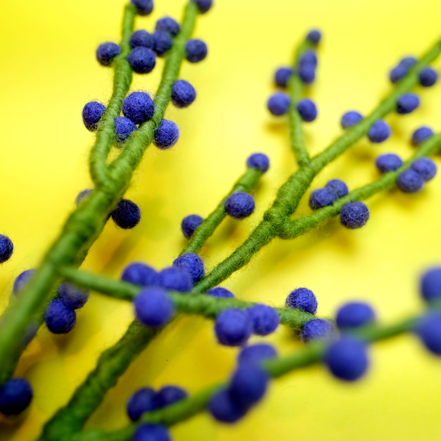 Branch with Blue Berries
