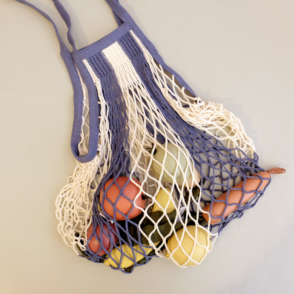 Net bag with long handle