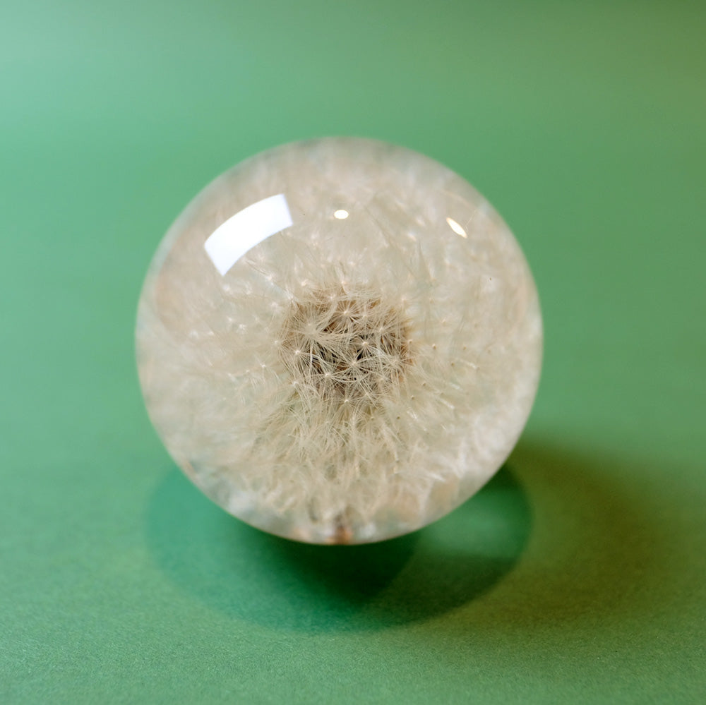 Dandelion paperweight