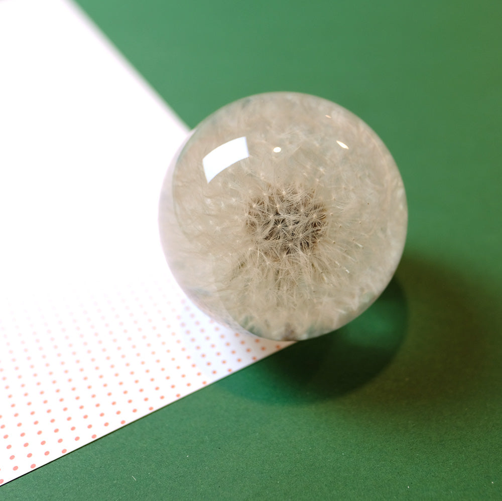 Dandelion paperweight