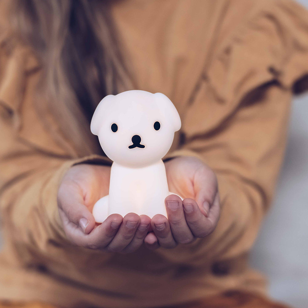 Miffy and Friends Mini Light