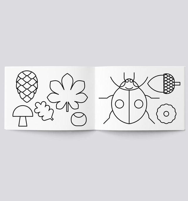 Colorbook School