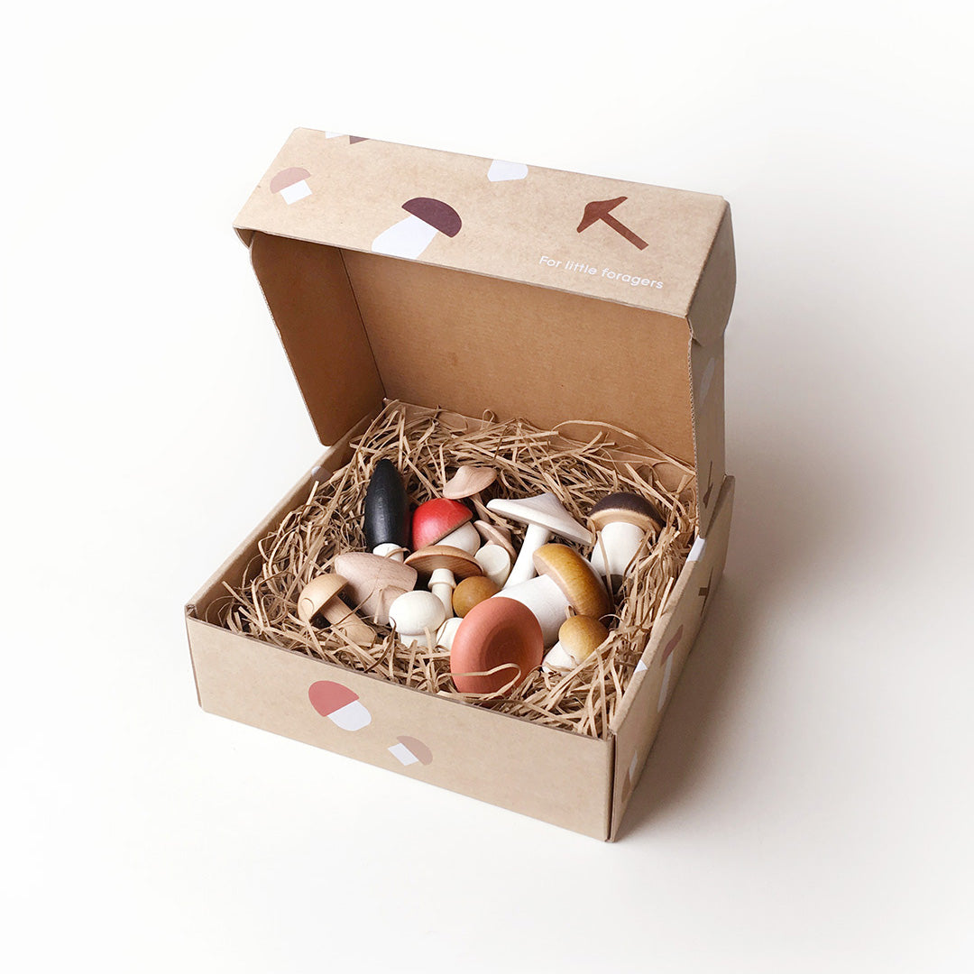 Forest Mushrooms in a box