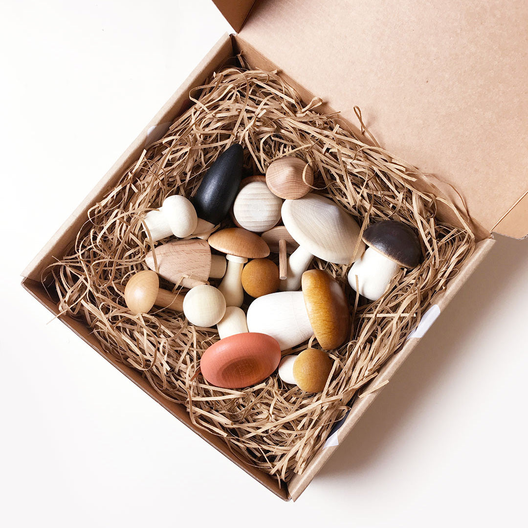 Forest Mushrooms in a box